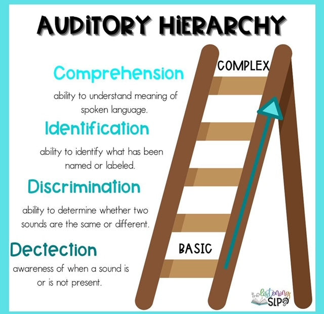 Understanding the Auditory Hierarchy: Unraveling the Complexities of Hearing